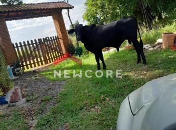 Rural · 171m² · 2 Quartos · 20 Vagas · Chácara em Porangaba - Área Rural de Porangaba - Porangaba/SP