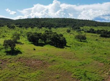 Rural de 1 quarto, Colinas do Sul · FAZENDA PARA PECUÁRIA EM COLINAS DO SUL-GO