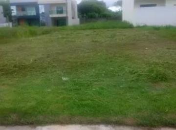 202510081249066273.jpg · Lote para Venda em Ananindeua, Centro