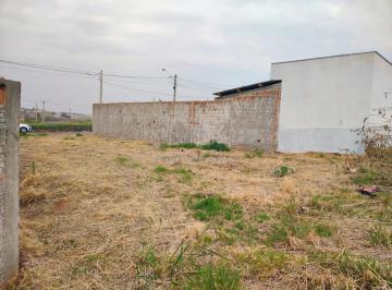 Terreno · 250m² · VENDE TERRENO ESTRELA DO ORIENTE  - BADY BASSIT