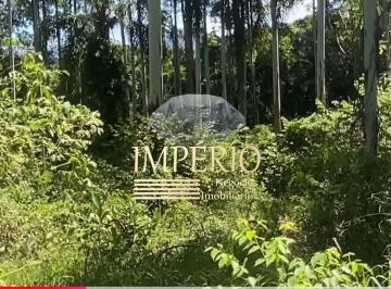 Foto 10 · Sítio à venda em Três Coroas-RS, bairro Linha Café: o refúgio perfeito para viver em harmonia com a 