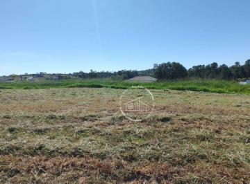 23d3f8fb734e3eea8c5199932b06d174c56ea7fe · Terreno à venda no Condomínio Terras de São José2, Itu-Sp