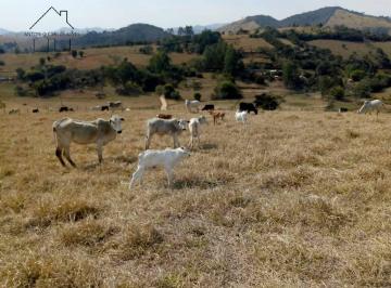 Rural · 447700m² · SITIO 18,5 ALQUEIRES EM CAMBUÍ-MG!!!