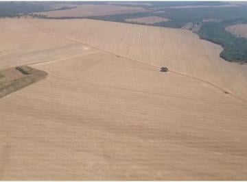 Rural , Luziânia · Fazenda de 1.250 Hectares - Cultura - R$ 100.000.000,00