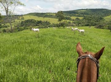 Rural , Piracicaba · FAZENDA PIRACICABA