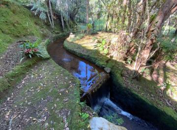 Rural , Juquitiba · Belo Sítio com Riacho Natural venda na Cidade de São Lourenço da Serra 