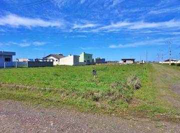 369534.jpg · Terreno - Bairro Areias Claras