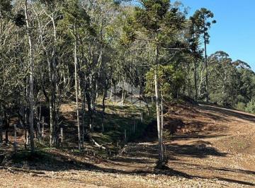 Terreno · 431m² · Terreno com 445,65m², em novo loteamento em Canela