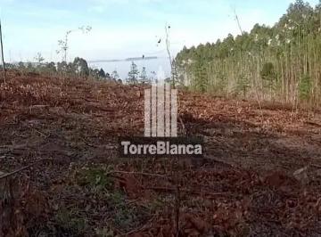 whatsapp-image-2025-09-20-at-15-17-45-11760021120823.jpeg · Terreno à Venda em Tibagi/PR