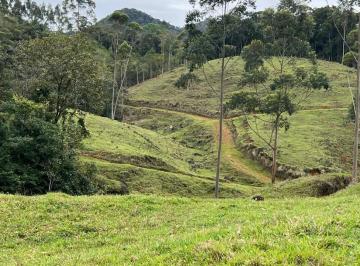 Terreno · 39ha · Terreno rural à venda em Ilhota/SC- Região do Baú