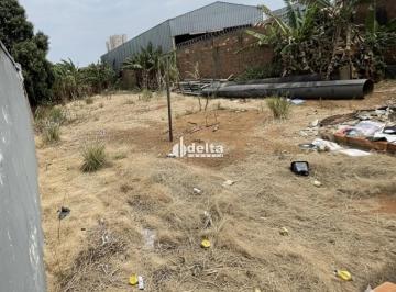 Terreno · 520m² · Terreno disponível para venda no bairro Presidente Roosevelt em Uberlândia - MG.