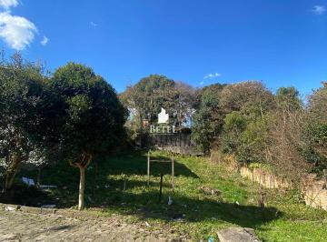 Terreno · 351m² · Terreno à venda no bairro Pioneiro - Caxias do Sul/RS