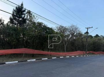 53b0046e4c2d21d10bee26c28a39d9afef796d11 · Terreno à venda, 801 m² por R$ 617.182,85 - Pousada dos Bandeirantes - Carapicuíba/SP
