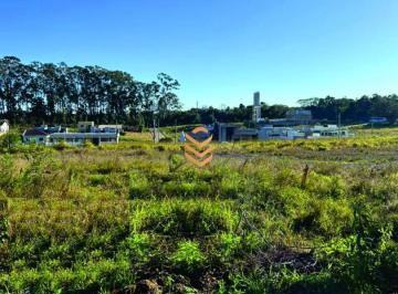 41897879_g.jpg · 
                                Oportunidade: Terreno Comercial no centro de Nova Santa Rita, à 50m