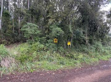 Terreno · 5000m² · AREA RURAL 5000M2 IVOTI, PICADA FEIJÃO