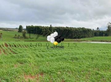 Rural · 268ha · Fazenda Área Rural a Venda em Arroio dos Ratos RS Lavoura - Pecuária