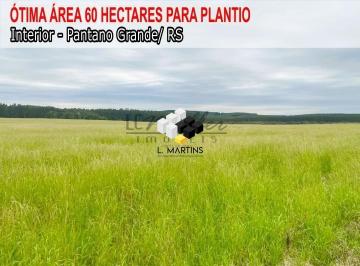 Rural · 60ha · Vende-se Fazenda Área Rural em Pantano Grande RS (a 20 km da Cidade e 6 km do As