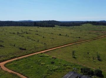 20240523112442708276.jpg · Fazenda para Venda em Rondolândia, ÁREA RURAL