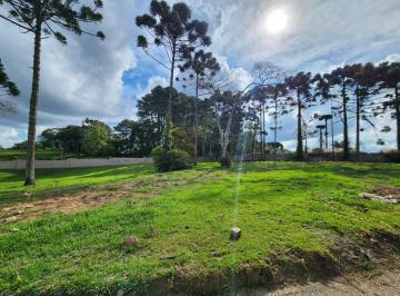 20260223164141489.jpg · Terreno de 210m2 em Condominio Clube,  Santa Candida