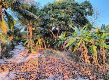 img1 · Casa