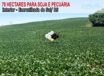 Rural · 78ha · vende-se Fazenda Área Rural em Encruzilhada do Sul RS Lavoura - Pecuária