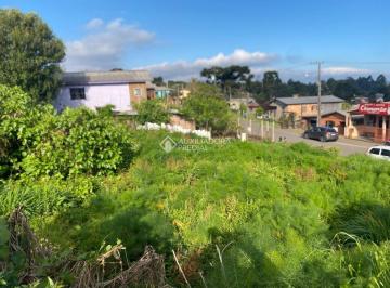 749105_i39kt9U_74910568e9089624480.jpg · Terreno á venda no bairro Rincão