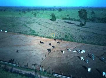 Rural · 5560000m² · Fazenda Lavoura Tacuru MS