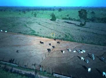 Rural · 5560000m² · Fazenda Lavoura Tacuru MS