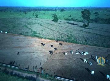 Rural · 5560000m² · Fazenda Lavoura Tacuru MS
