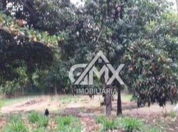 44f54b9776e06d79e53320f743eb554a9dbce052 · Chácara à venda, 1800 m² por R$ 185.000,00 - Fazenda da Nata - Londrina/PR