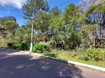 Terreno · 2m² · Lote em Estrada da Serra Velha - Centro - São Francisco de Paula/RS