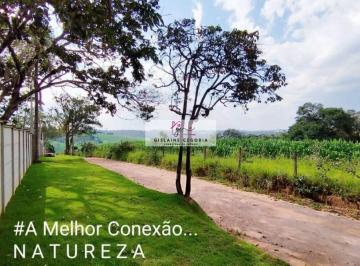 Terreno · 3503m² · Terreno à venda - no Centro