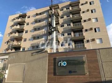 Apartamento · 62m² · 2 Quartos · 1 Vaga · Apartamento à Venda no Palmares, Ribeirão Preto – 2 quartos, 62m²
