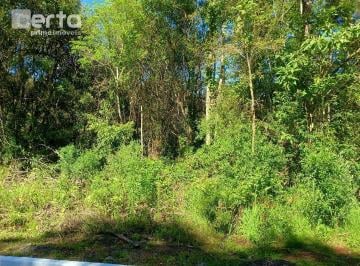 2aaa3d96a4f9c4f2350b545c98f33cced639fe11 · Lindo Terreno Plano arborizado em Gramado-Rs muito bem localizado
