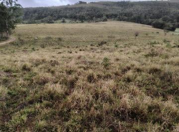 Rural de 3 quartos, Monte Santo de Minas · Belo sítio ,plantar café ,abacate ,irrigar