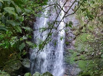 Rural · 3 Quartos · Rurais à venda - em São Francisco de Paula