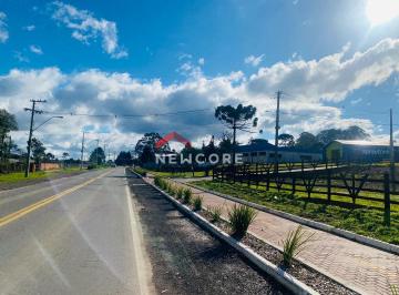 Terreno · 393m² · Lote em  Avenida Benjamin Constante - Santa Isabel - São Francisco de Paula/RS