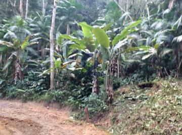 Terreno · 6700m² · Terreno à venda no bairro Área Rural de Camboriú - Camboriú/SC