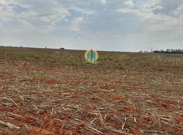 Rural · 1267m² · Fazenda Lavoura em Centro, Santa Rita do Trivelato/MT