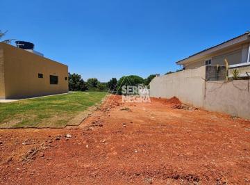 Foto 01 · TERRENO COMERCIAL 1.251M² RUA 3 VICENTE PIRES