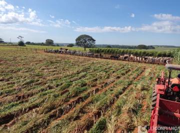 Foto 01 · Fazenda, Rural, Araxá, MG