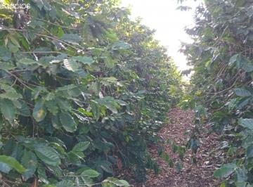 Foto 01 · Sítio venda. Empório Negócios vende sítio café na região de Monte Santo de Minas - MG.