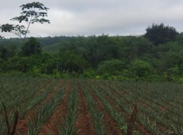 Terreno , Coração de Maria · Lote em coração de maria
