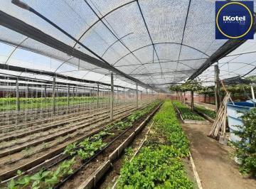 Terreno · 6629m² · SÍTIO DENTRO DE PORTO ALEGRE 6.629,10 metros quadrados de área no bairro Campo N