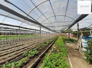 Terreno · 6629m² · SÍTIO DENTRO DE PORTO ALEGRE 6.629,10 metros quadrados de área no bairro Campo N