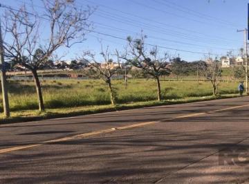 Terreno · 4704m² · Amplo terreno com 4.704m²