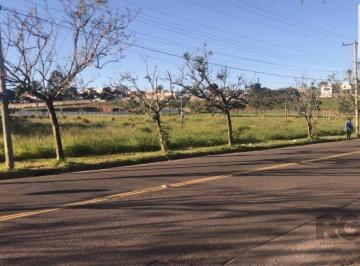 Terreno · 4704m² · Amplo terreno com 4.704m²