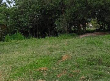 Terreno · 1000m² · Terreno 1.000m² no bairro Lageado em Porto Alegre