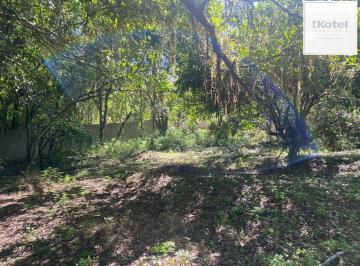 Terreno · 9750m² · Excelente terreno!
