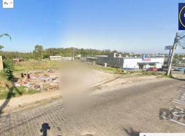 Terreno · 806m² · Terreno à venda - em Rubem Berta